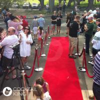 Flooring and Carpeting | Red Carpet Runner